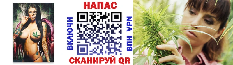 купить Нестеровская Конопля конопля